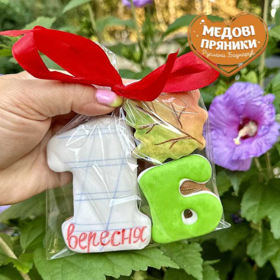 ПРЯНИЧНЫЙ НАБОР "ШКОЛЬНИКУ ПОДАРОК"